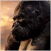 King Kong : foto