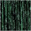 Matrix Reloaded : poster