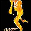 007 - O Mundo Não é o Bastante : foto