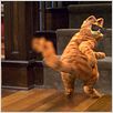 Garfield : foto
