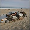 Surf Adventures 2 - A Busca Continua : foto