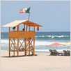 Surf Adventures 2 - A Busca Continua : foto
