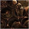 O Hobbit: A Desolação de Smaug : foto