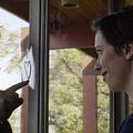 O Presente : Foto Jason Bateman, Rebecca Hall