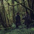 The Lobster : Foto Colin Farrell, Rachel Weisz