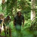 Capitão Fantástico : Foto Annalise Basso, George Mackay, Nicholas Hamilton, Samantha Isler, Viggo Mortensen