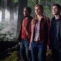 Percy Jackson e o Mar de Monstros : Foto Alexandra Daddario, Brandon T. Jackson, Logan Lerman