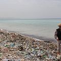 Trashed - Para Onde Vai Nosso Lixo : Foto Jeremy Irons