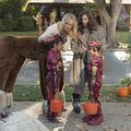 Foto Albert Tsai, Malin Akerman, Michaela Watkins