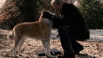 <strong>Sempre ao Seu Lado</strong> Trailer Original