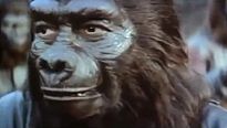 A Batalha do Planeta dos Macacos Trailer Original
