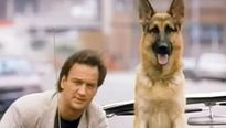 <strong>K-9 - Um Policial Bom pra Cachorro</strong> Trailer Original