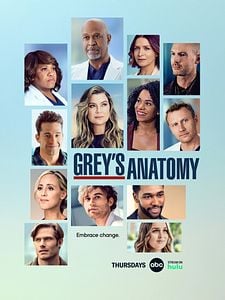 Grey S Anatomy Guia De Temporadas Adorocinema