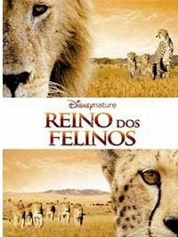 Reino dos Felinos