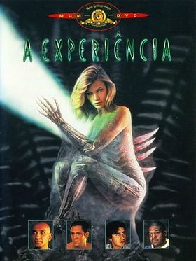 A Experiência