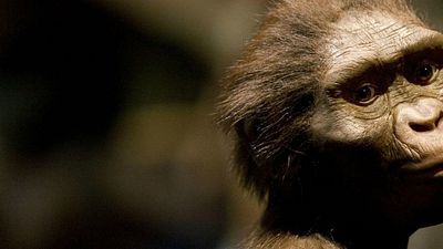 Filmes na TV: Hoje tem Lucy e 10 Coisas Que Eu Odeio em Você