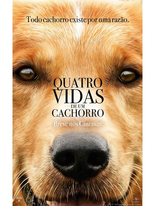 Resultado de imagem para quatro vidas de um cachorro