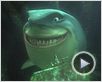 Procurando Nemo clip Original Procurando Nemo clip Original