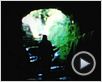 Sibila Trailer Original Sibila Trailer Original