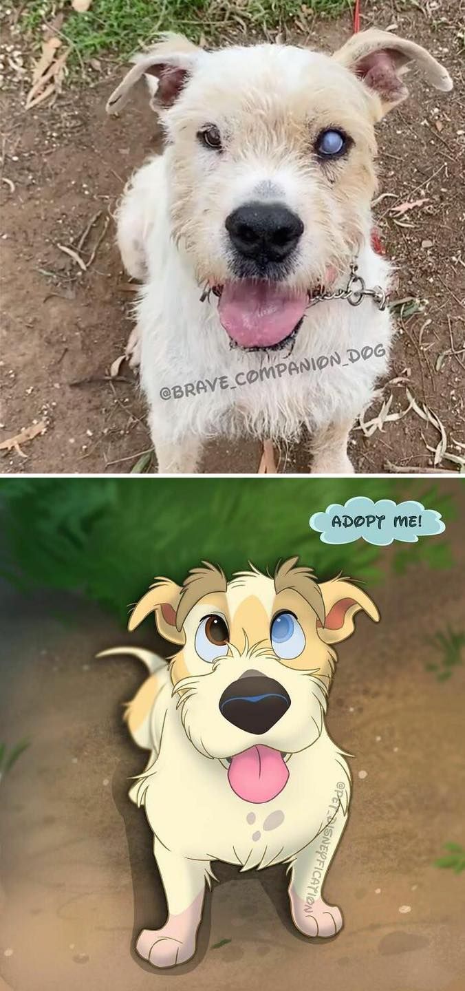 Artista Transforma Animais Da Vida Real Em Fofos Desenhos Da Disney