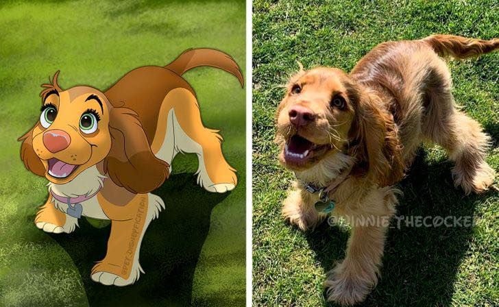 Artista Transforma Animais Da Vida Real Em Fofos Desenhos Da Disney