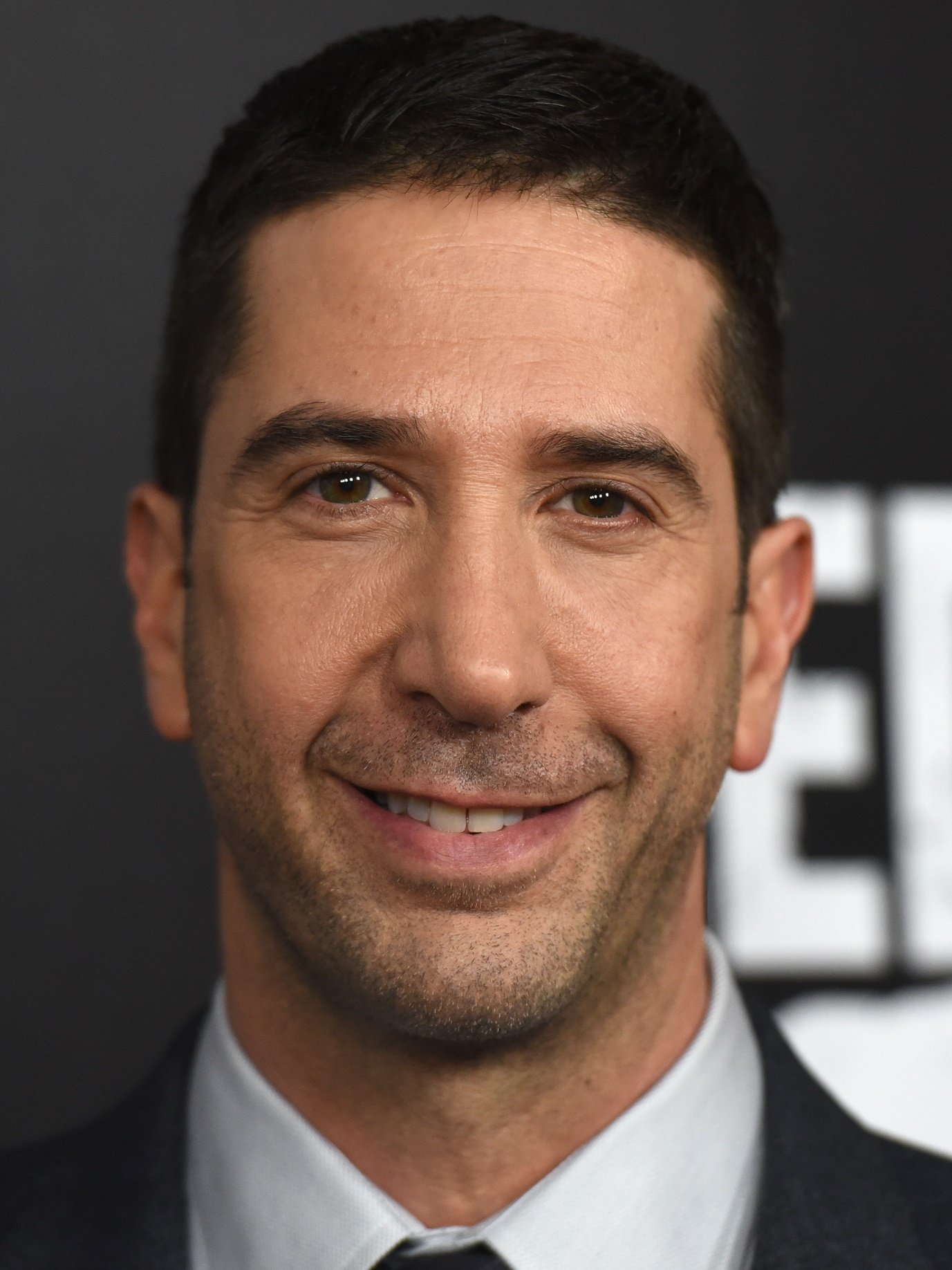 David Schwimmer AdoroCinema