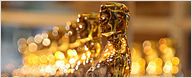 Veja a lista de pré-indicados ao Oscar 2013 de melhor documentário