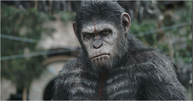 Planeta dos Macacos: O Confronto : Foto