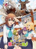 imagem de Minha Amiga Nokotan é um Cervo