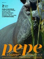 Pôster de Pepe