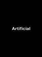 Pôster de Artificial
