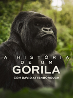 Pôster de A História de um Gorila: Com David Attenborough