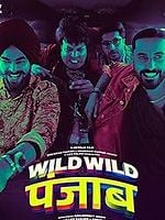 Pôster de Loucas Aventuras em Punjab