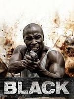 Pôster de O Ladrão de Diamantes