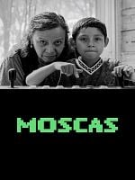 Pôster de Moscas
