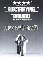 Pôster de Assassinato Sob Custódia