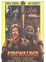 Pôster de Os Aventureiros do Fogo