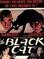 Pôster de O Gato Preto