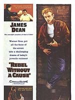 Pôster de Juventude Transviada