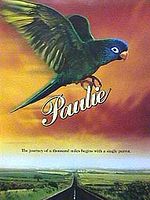 Pôster de Paulie - Um Papagaio Bom de Papo