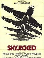 Pôster de Vôo 502 em Perigo