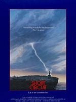 Pôster de O Incrível Robô