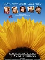 Pôster de Divinos Segredos