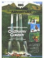 Pôster de Um Cowboy no Havaí