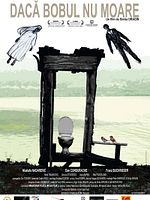 Pôster de Sementes da Vida