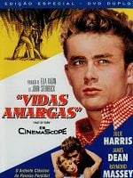 Pôster de Vidas Amargas