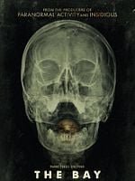 Pôster de The Bay