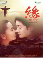 Pôster de Destino