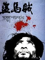 Pôster de O Ladrão de Cavalos