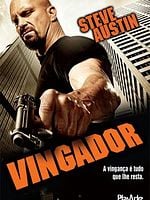 Pôster de O Vingador